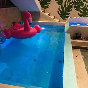 https://casa-flamingo.quintano-roohotels.com
